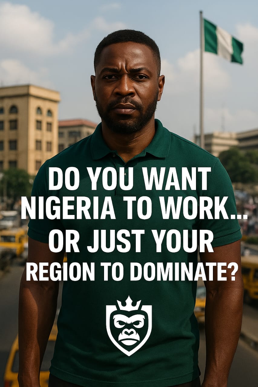 DO YOU WANT NIGERIA TO WORK… OR JUST YOUR REGION TO DOMINATE?